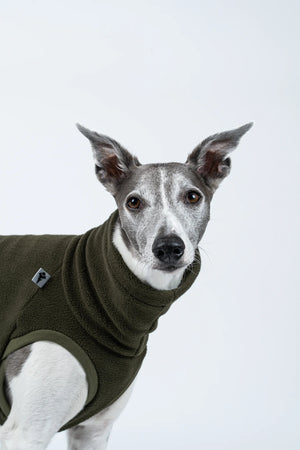 KARMA HUND - LONG SHIRT für Windhunde Olive