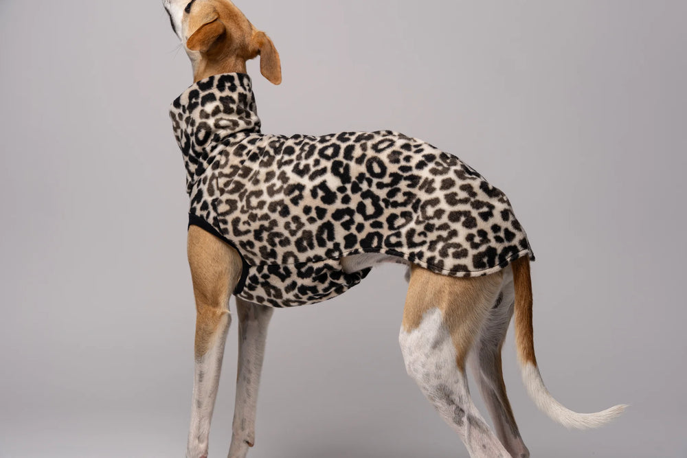 KARMA HUND - LONG SHIRT für Windhunde Leo