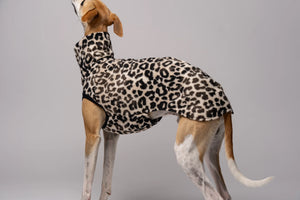 KARMA HUND - LONG SHIRT für Windhunde Leo