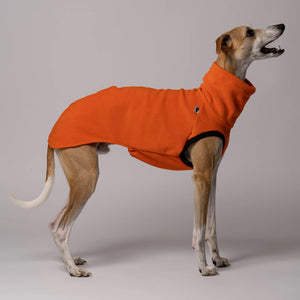 KARMA HUND - LONG SHIRT für Windhunde Orange