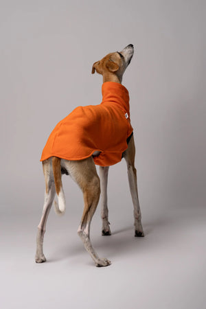KARMA HUND - LONG SHIRT für Windhunde Orange