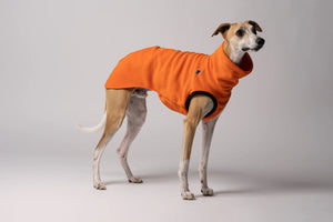 KARMA HUND - LONG SHIRT für Windhunde Orange