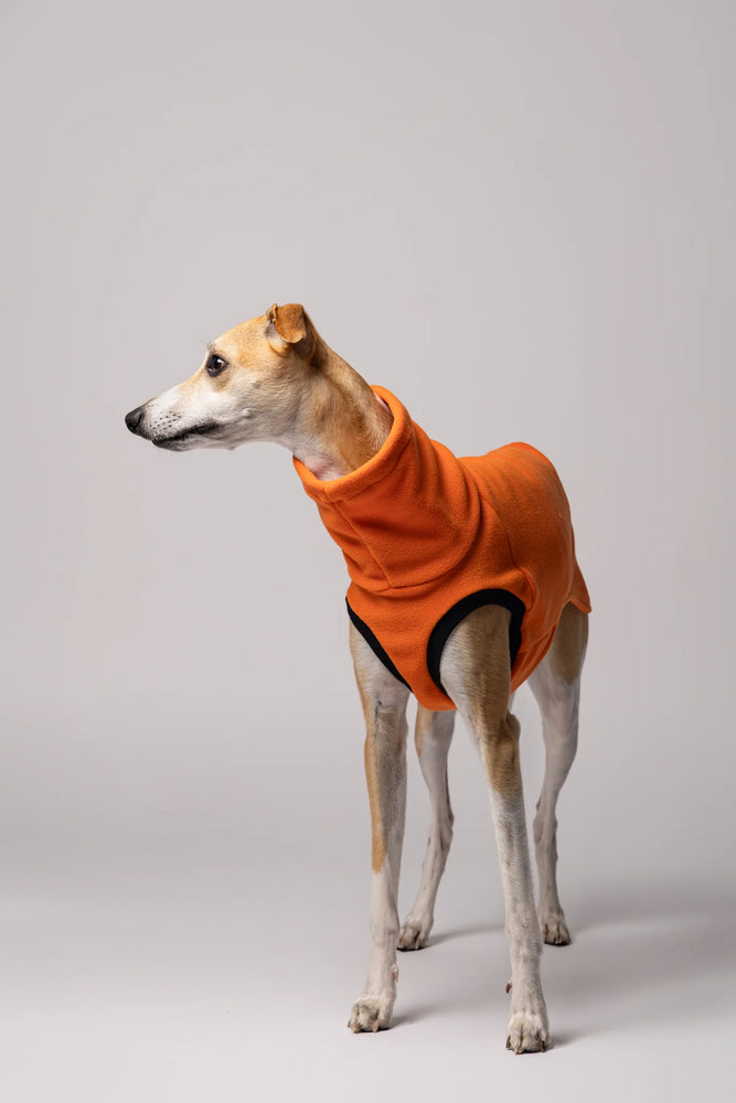 KARMA HUND - LONG SHIRT für Windhunde Orange