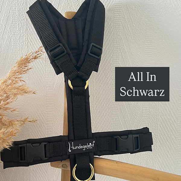 Hundsgeleint - Y Geschirr Schwarz mit Messing