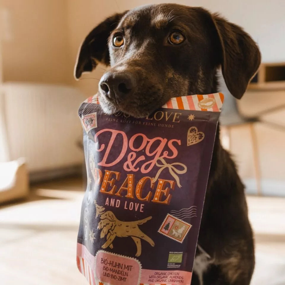 DOG`S LOVE - Winter Chips