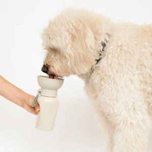 springer - Reisetrinkflasche für Hunde