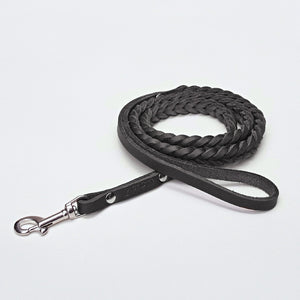 <transcy>Central Park Black dog leash</transcy>