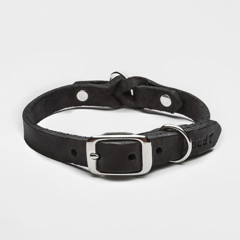 
            
                Load image into Gallery viewer, &amp;lt;transcy&amp;gt;Riverside Park Black dog collar&amp;lt;/transcy&amp;gt;
            
        