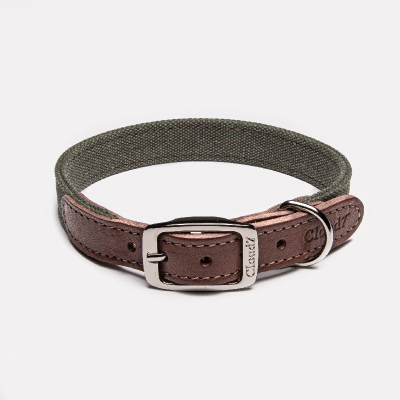
            
                Load image into Gallery viewer, &amp;lt;transcy&amp;gt;Tivoli dog collar&amp;lt;/transcy&amp;gt;
            
        