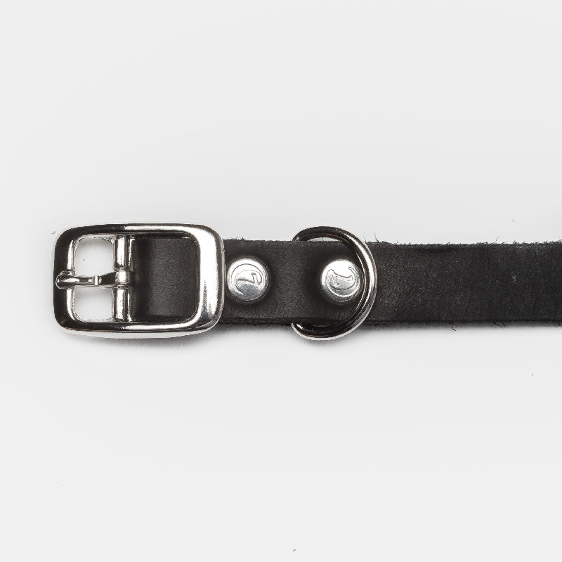 
            
                Load image into Gallery viewer, &amp;lt;transcy&amp;gt;Riverside Park Black dog collar&amp;lt;/transcy&amp;gt;
            
        