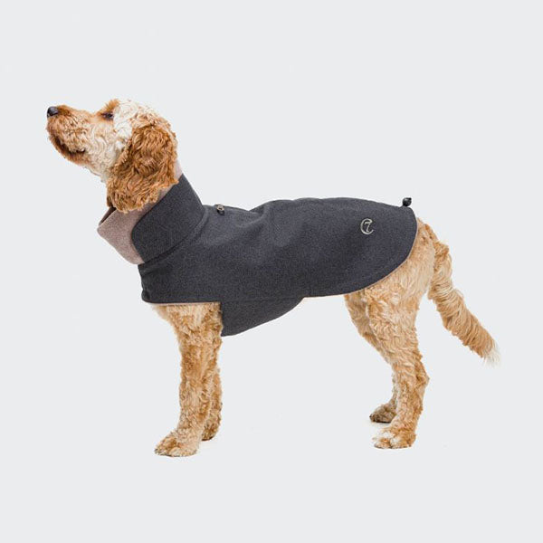 <transcy>Brooklyn graphite dog coat</transcy>