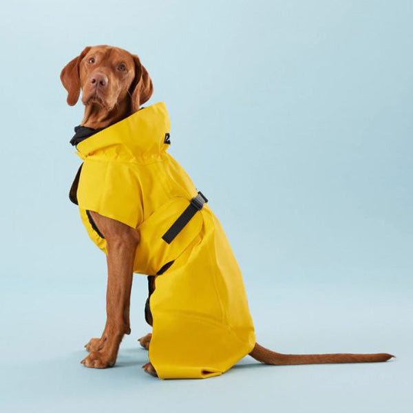 
            
                Laden Sie das Bild in den Galerie-Viewer, PAIKKA - Vollreflektierender Hunderegenmantel Gelb
            
        