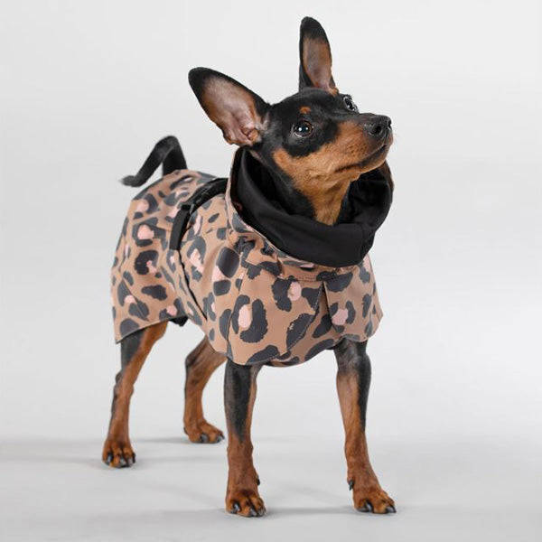 
            
                Laden Sie das Bild in den Galerie-Viewer, PAIKKA - Vollreflektierender Hunderegenmantel LEO
            
        